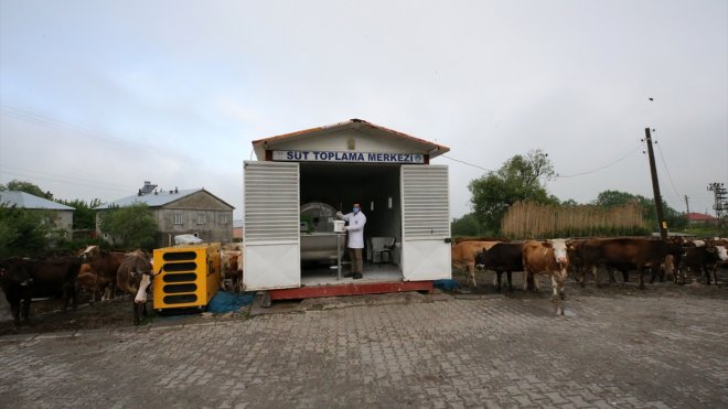 Muş'ta 7 köyde kurulan süt toplama merkezlerinden 550 üretici faydalanıyor