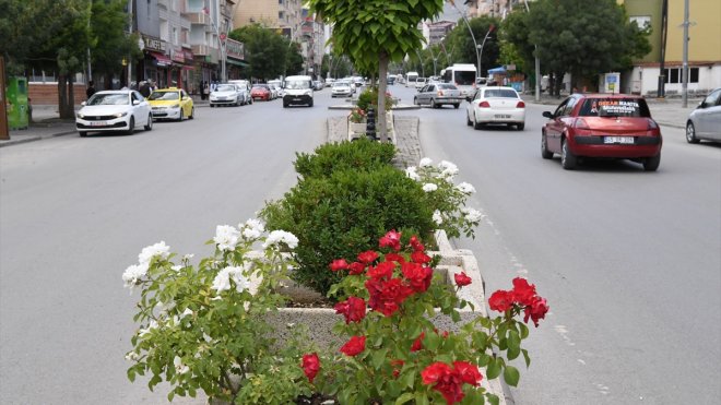 Muş Belediyesi cadde ve parkları çiçeklerle renklendiriyor1