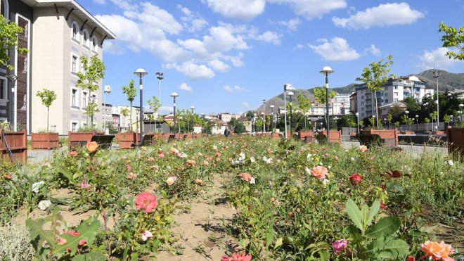 Muş Belediyesi yeşil alanların bakım ve onarımını yaptı