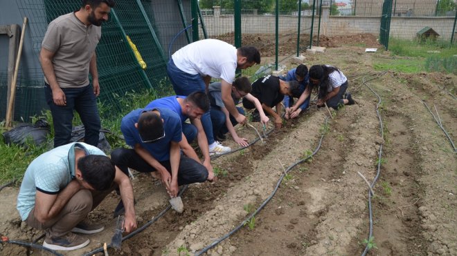 Muş'ta özel öğrenciler ve öğretmenleri okulun bahçesindeki boş alanı bostana dönüştürdü