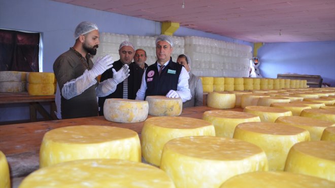 Muş'ta üretilen eski kaşar peyniri coğrafi işaret belgesi aldı