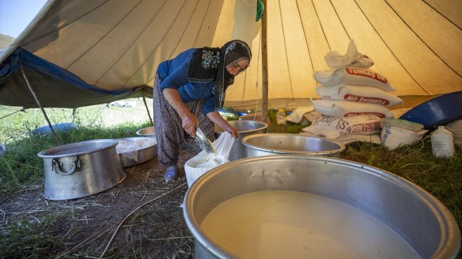 TUNCELİ - Göçerler Ovacık yaylalarında peynir mesaisinde1