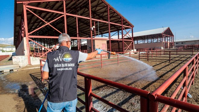 Van Büyükşehir Belediyesi canlı hayvan pazarını ilaçladı1