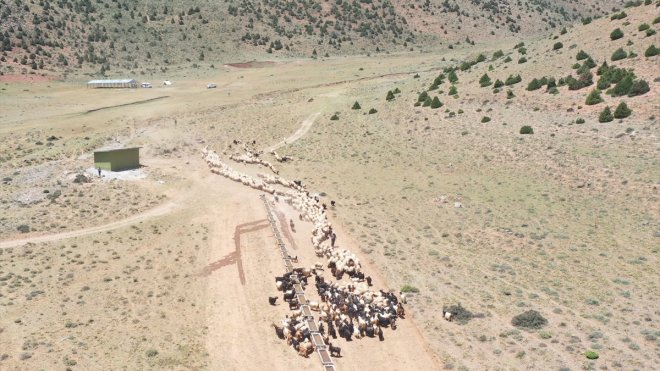 Van'da hayvanların otlatıldığı yayla güneş enerjisiyle suya kavuşturuldu