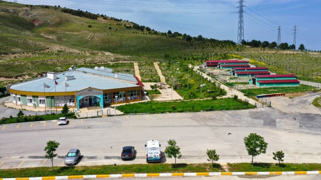 Van'da yılbaşından bu yana 6 bin sahipsiz hayvan tedavi edildi