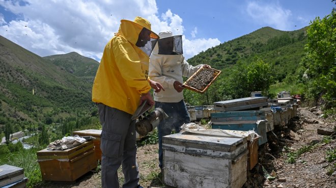 VAN - Yaylalarda üretilen balın kalitesi yüksek çıktı1