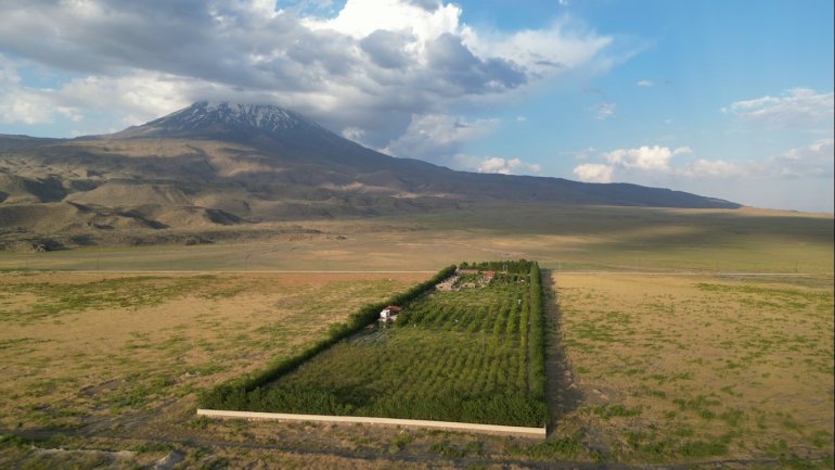 Ağrı Dağı eteklerindeki meyve bahçesi ilgi odağı oluyor1