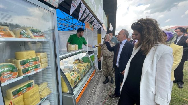 Ardahan'da "22. Ulusal Göle Kültür ve Kaşar Festivali" başladı