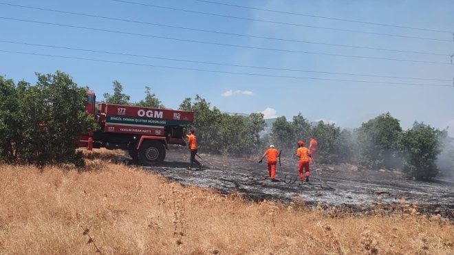 Bingöl'de çıkan orman yangını kontrol altına alındı