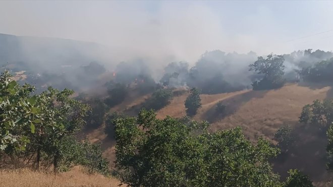 Bingöl'de çıkan orman yangını söndürüldü