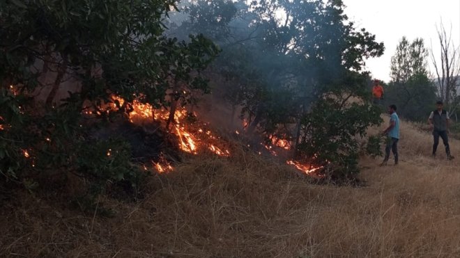 Bingöl'de çıkan orman yangını söndürüldü