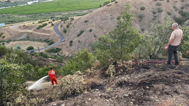 Bingöl'de iki ayrı ağaçlık alan çıkan yangınlarda hasar gördü