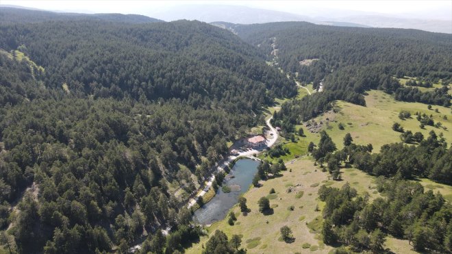 Erzincan'da sıcaktan bunalanlar Dumanlı Tabiat Parkı'nda serinliyor