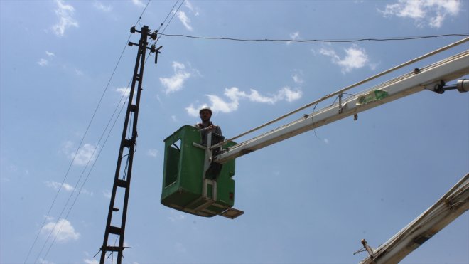 KARS - Elektrik direğinde mahsur kalan karga kurtarıldı1