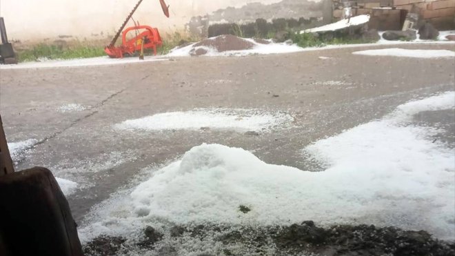 Kars'ta sağanak ve dolu ekili alanlara zarar verdi