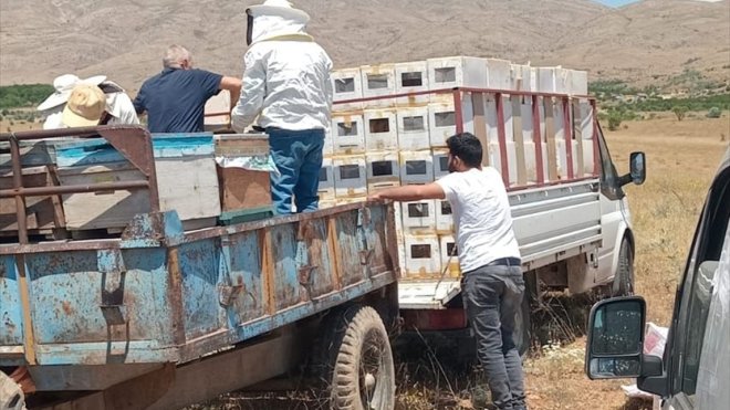 Malatya'da depremzede üreticilere 1305 arılı kovan dağıtıldı