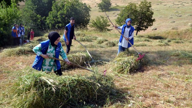 Muş'ta gönüllü gençler, hasta eşini yalnız bırakamayan adamın tarladaki otunu biçti