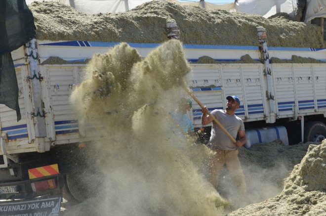 Muş'ta ot hasadının ardından işçilerinin saman mesaisi başladı