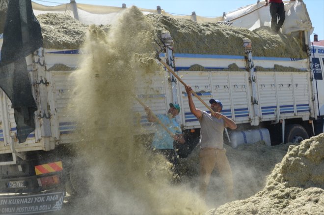 başladı ot işçilerinin hasadının mesaisi ardından saman Muş