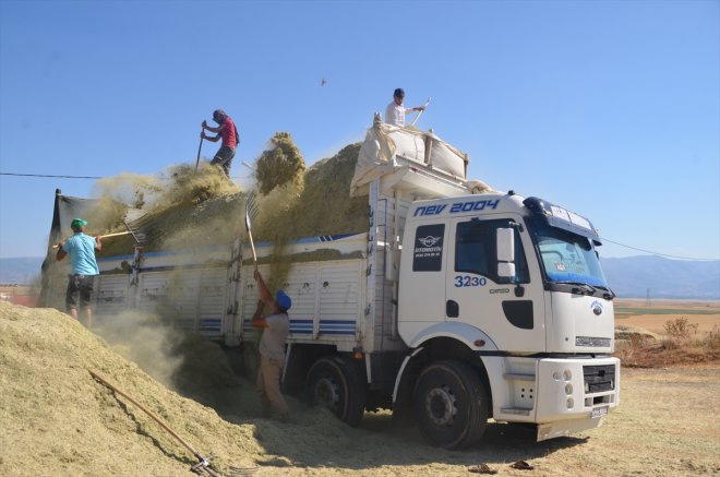 ot mesaisi saman Muş