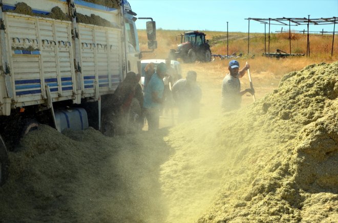 saman işçilerinin Muş