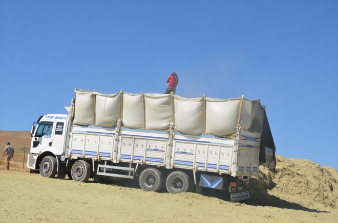 hasadının mesaisi ardından işçilerinin başladı saman ot Muş
