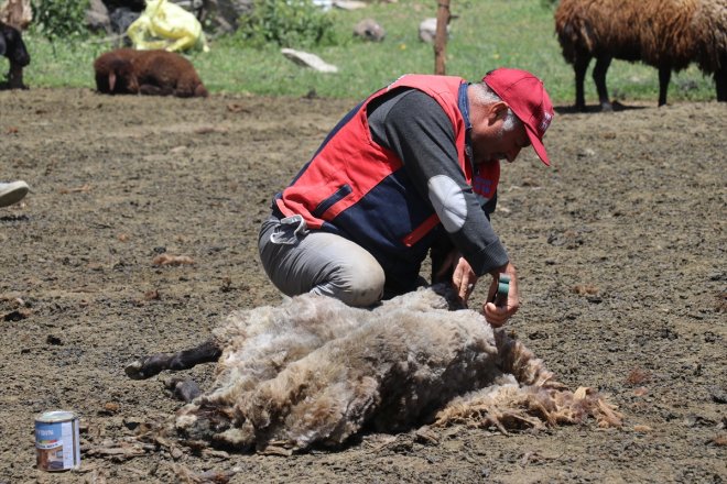 başladı göçerler kırkma mesaisine Sinek Yaylası