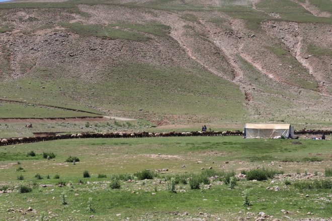 göçerler Sinek koyun kırkma Yaylası