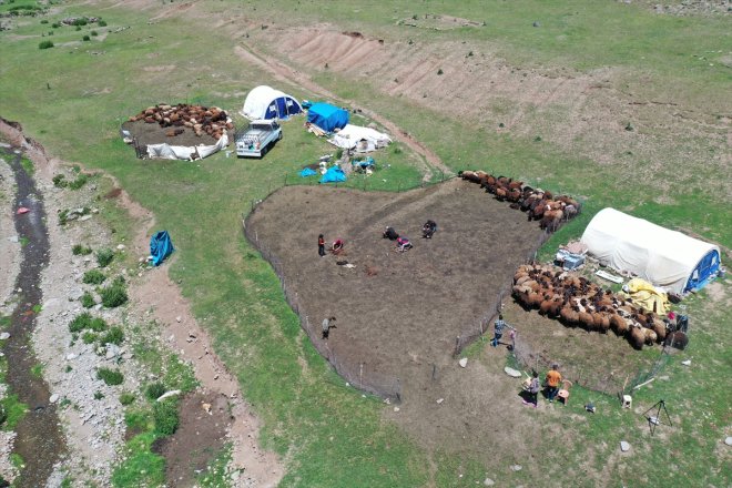 koyun kırkma Yaylası