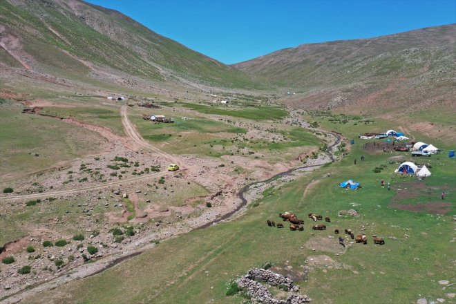 mesaisine Sinek koyun başladı Yaylası