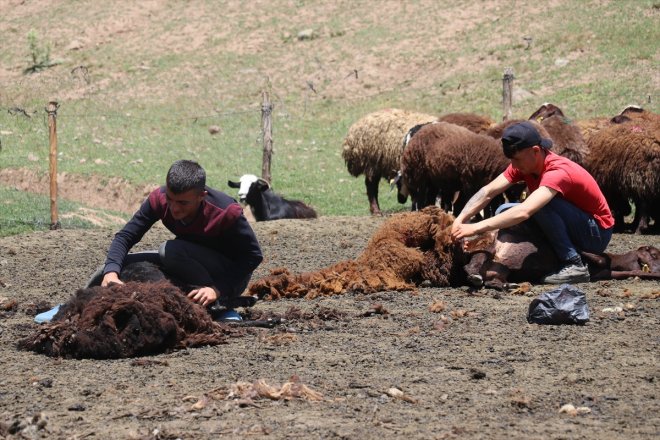 kırkma mesaisine Yaylası