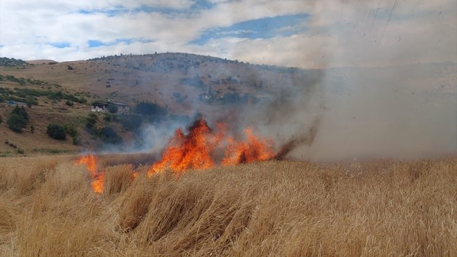 Tunceli'de çıkan yangın 10 dönümlük buğday tarlasına zarar verdi
