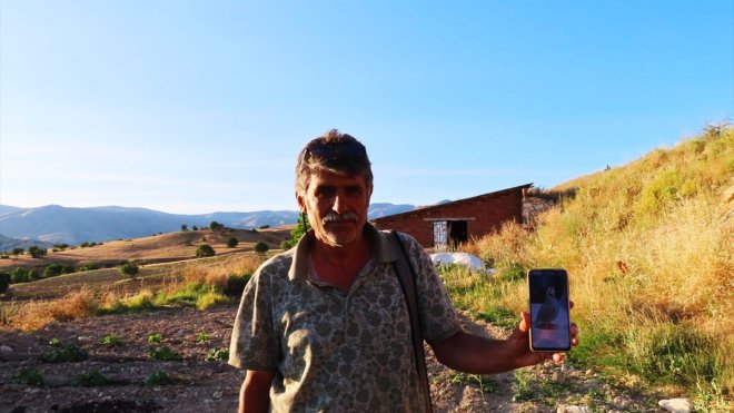 Tuncelili hayvansever kaybolan kekliğini bulana para ödülü verecek1