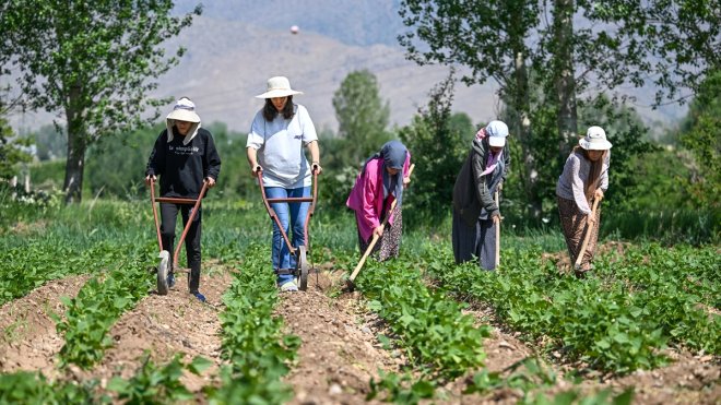 Van'da güç birliği yapan kadınlar "Ahtamara" markasıyla ürünlerini pazarlıyor