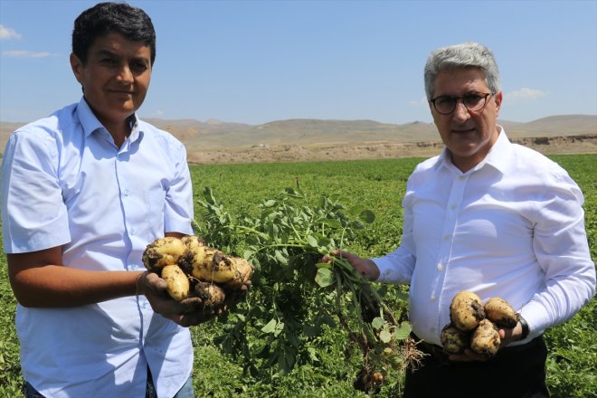 bekliyor verim eken patates yüksek desteğiyle çiftçiler devlet Ağrı