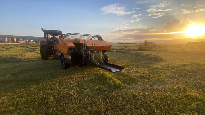 ARDAHAN - Çiftçiler zorlu ot biçimi mesaisinde1