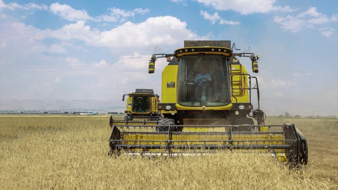 Atatürk Üniversitesince 4530 dekarda ekilen hububatın hasadına başladı