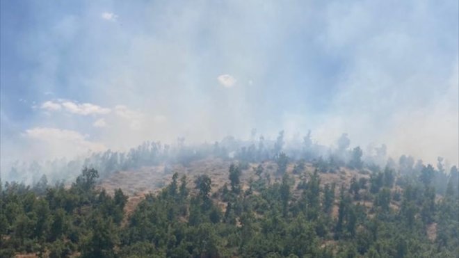 Bingöl'de çıkan orman yangını kontrol altına alındı