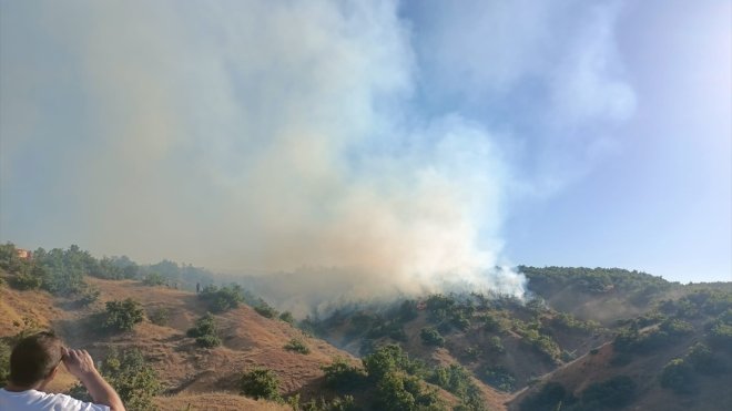 Bingöl'de ormanlık alanda çıkan yangına müdahale ediliyor