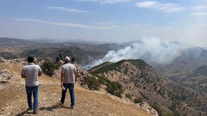 Bingöl'de ormanlık alanda çıkan yangına müdahale ediliyor
