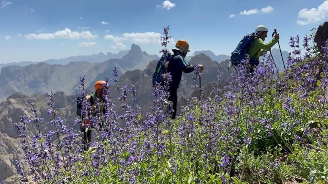 Hakkari'de dağcılar Sümbül ve Spi Dağı'na tırmandı