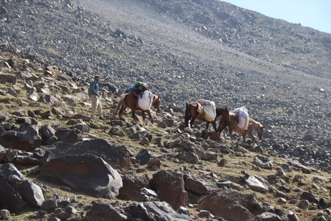 köylüler tırmanışa - lojistik sağlıyor IĞDIR Ağrı destek eteklerindeki Dağı gelen dağcılara 11