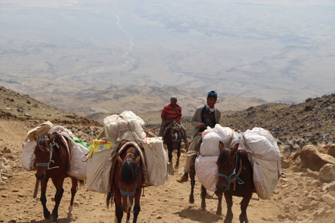gelen köylüler lojistik IĞDIR - Ağrı eteklerindeki tırmanışa sağlıyor dağcılara Dağı destek 16