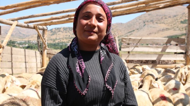 Depremde hayvanları telef olan kadın besici devlet desteğiyle ayağa kalktı