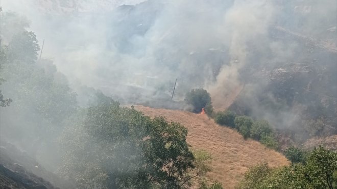Malatya'da orman ve bahçelik alanda yangın