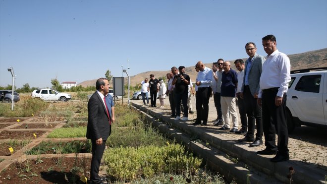 MUŞ - Yetiştirilen tıbbi ve aromatik bitkiler tanıtıldı1