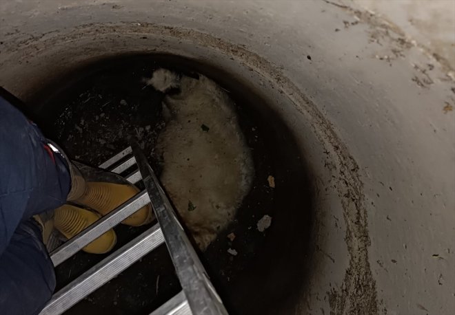 rögara koyunu düşen ekipleri Özalp