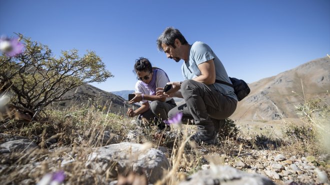 Tunceli'nin zengin florası akademik çalışmalarla kayıt altına alınıyor