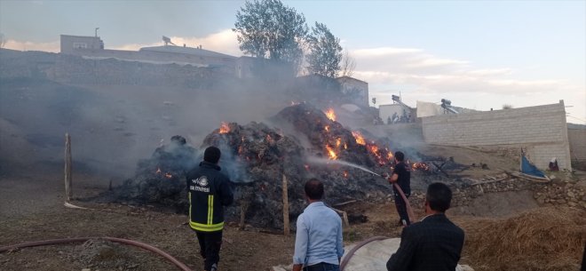 - yandı Saray bağ 8 ilçesinde ot bin VAN 2