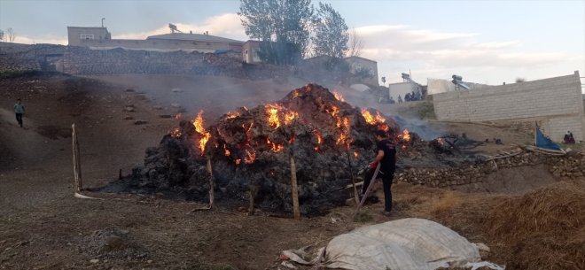 yandı 8 bağ ot Saray - bin ilçesinde VAN 3